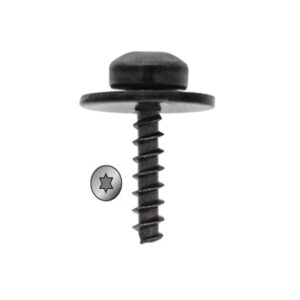 CARKLIPS-LAMARINOVIDA-TORX-SCREW-60M
