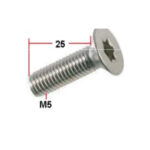 CARKLIPS-TORX-70M-25MM