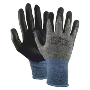 galaxy-safety-canis-gantia-20261